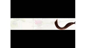 Bis-aminopropyl diglycol dimaleate 50% the highest content