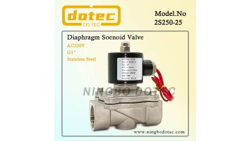 2S250-25 Stainless Steel Solenoid Valve