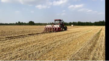 pneumatic precision planter ,Qufu no-tillage operation