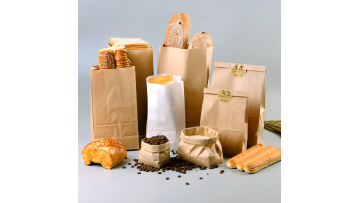 paper bag 1