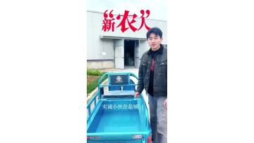 Adjustable Three-Wheel Bike with Ergonomic Seat for Elderly Riders