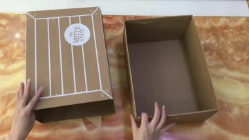 corrugated drawer slide shoe box
