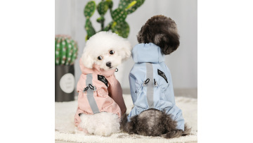 pet clothing