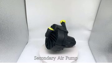 BJ-9404 Secondary Air Pump