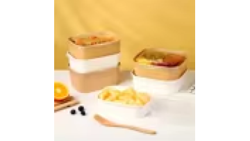 Takeout Paepr Food Container