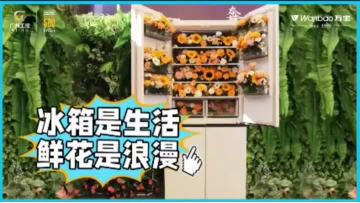 # Wanbao refrigerator # Meizhou Marathon