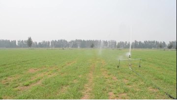 hose reel irrigation sprinkler.mp4