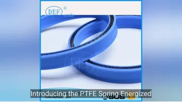 PTFE Spring Energized Seal for Food, Beverage, Medical, Pump, Hydraulic1