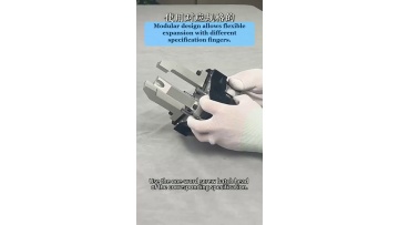 Video 19