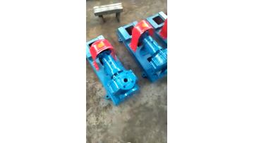 RY40-25-160 Hot oil pump High temperature pump centrifugal pump1