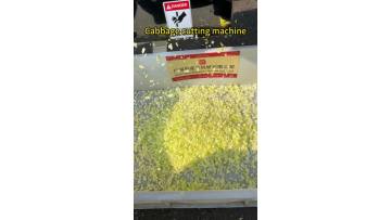 Cabbage cutting machine Fruit cutting machine