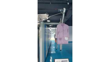 ironing tunnel finisher