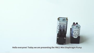 YW11  series miniature diaphragm pump