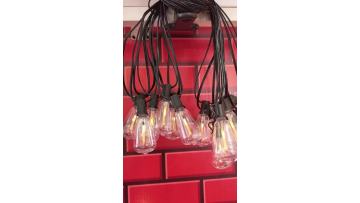 Meteor Shower Solar Light String (2)