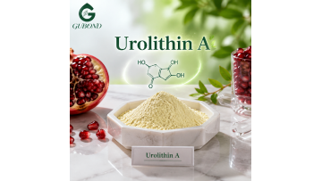 High‑Quality Urolithin A Powder From GUBOND