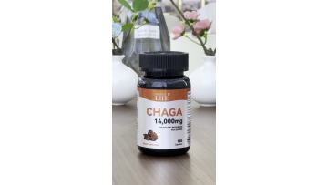 Mushrooms Chaga Mushrooms Capsules Mushroom Extract Antioxidants
