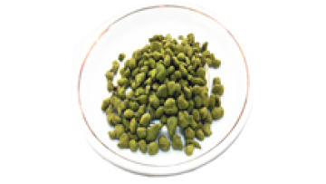 High Mountain Fujian Organic Ginseng Oolong Tea - Vacuum Packed Bulk1