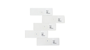 Mitosis Slides Set - Onion Root Tip 5pcs - FRT1001 - Plant Genetics and Biology1