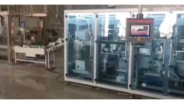 bagged products drop type case packer-19