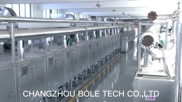 conveyor mesh belt dryer