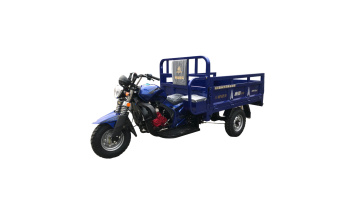 Agricultural gasoline tricycle