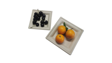 bagasse square 8 inches plate