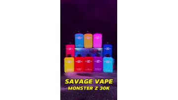 SAVAGE MONSTER Z 30000