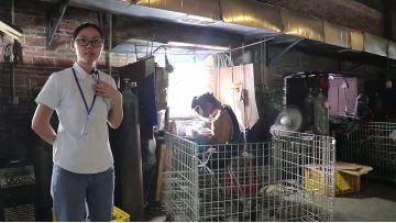 Welding Workshop Table Legs