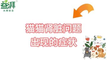 Feline Kidney Disease Symptoms