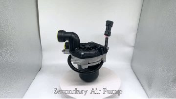 BJ-9333 Secondary Air Pump