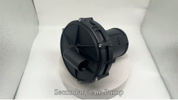 BJ-9215 Secondary Air Pump