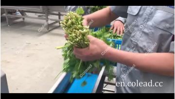 Parsley cutting machine