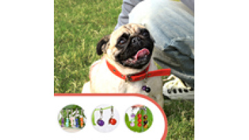Hot Sale Charm Pet Crystal Accessories  Crafts Keychain Crystal Bead Pet Necklace Deco1