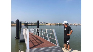 Marine gangway ladder