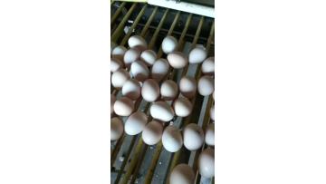our product 2