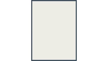 Single-Row Cylindrical Roller Bearing