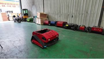 800LGas Lawn Mower