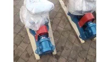 2018 Hot sale in the US!!!2CY cheap portable oil transfer pump, oil delivery booster pump gear pump1