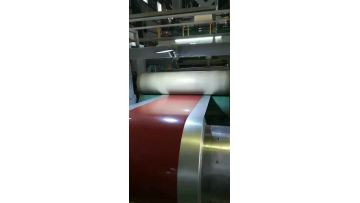Printed Color Coated Steel with Flower1