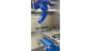 Plastic Parts Painting