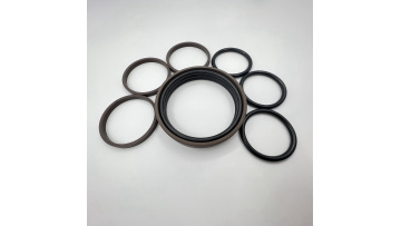 Special Seal For SPGO Piston Seal