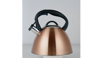 Stainless Steel Brown Coating Whistling Kettle FH-571C