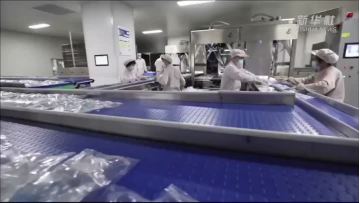 introduction of company 3