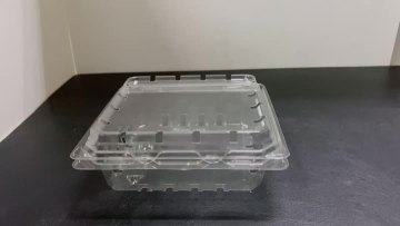 Blueberries/vegetable clamshell