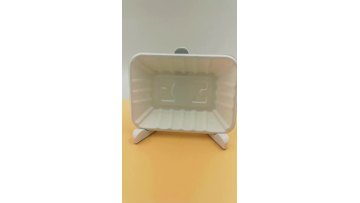sugarcane bagasse tray