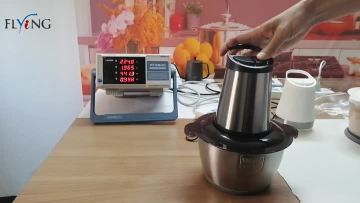 Electric meat chopper test
