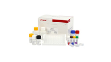 Accurate and Rapid Enrofloxacin ELISA Test Kit: A Specialized Tool for Quantitative Detection and Egg Safety in Veterinary Applications1