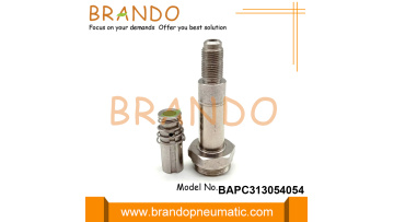 BAPC313054054