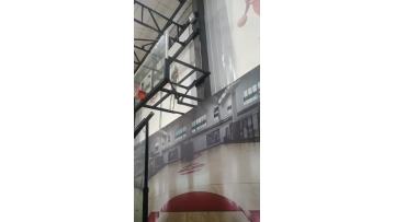 wall mounted basketball hoop