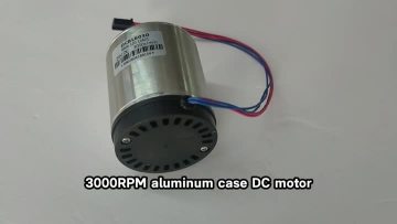3000RPM Aluminum Shell DC Motor